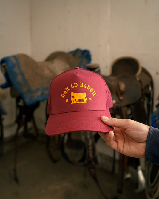 Cow-Calf Club
